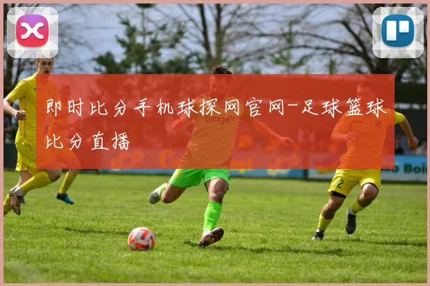 即时比分手机球探网官网-足球篮球比分直播