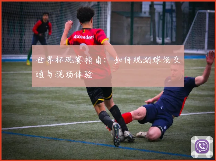 世界杯观赛指南：如何规划球场交通与现场体验