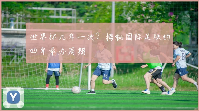 世界杯几年一次？揭秘国际足联的四年举办周期