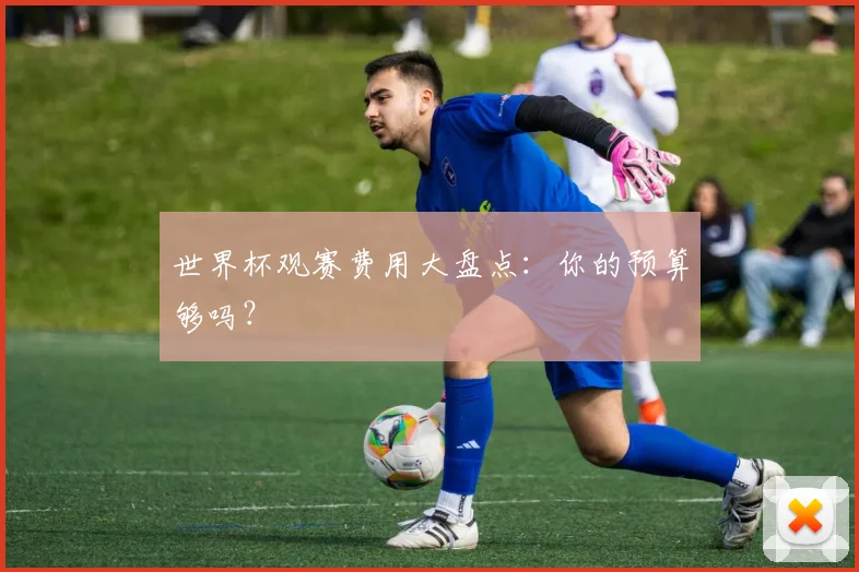 世界杯观赛费用大盘点：你的预算够吗？